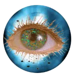 Rainsford.Net logo